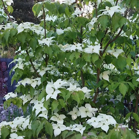 Appartamento Terminal