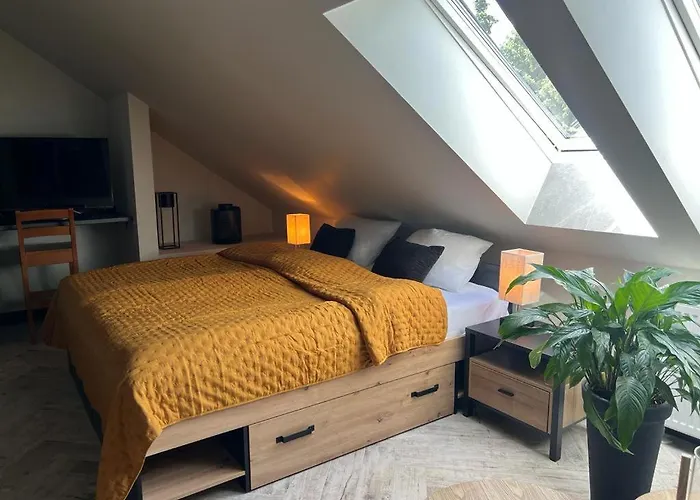 Terminal هاجوكوفه